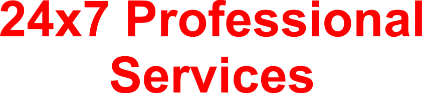 24x7 Professional Services
